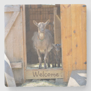 Mama Goat & Baby Stone Coaster