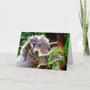 Mama Koala and Baby Joey in a Tree Card