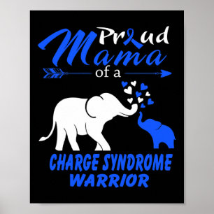 Mama Of A Charge Syndrome Warrior Poster
