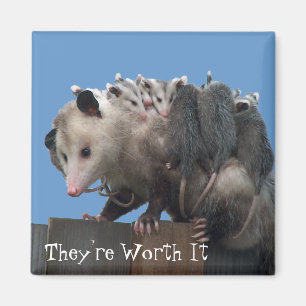 Mama Possum Babies Pro-Life Humourous Magnet
