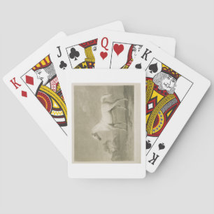 Mambrino, after George Stubbs, 1788 (mezzotint) Playing Cards