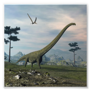 Mamenchisaurus dinosaur walk -3D render Photo Print
