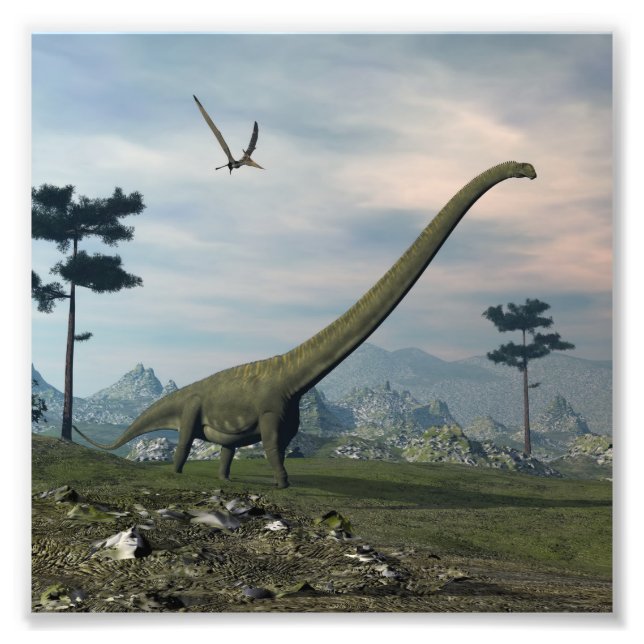 Mamenchisaurus dinosaur walk -3D render Photo Print (Front)