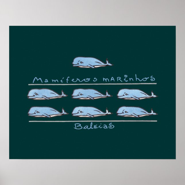 mamíferos marinhos - baleias poster (Front)