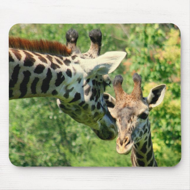 mamma and baby giraffe mousepad (Front)