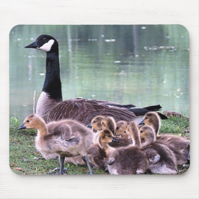Mamma Goose and Babies Mouse Pad (Front)