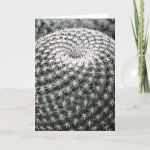 Mammillaria elegans notecard