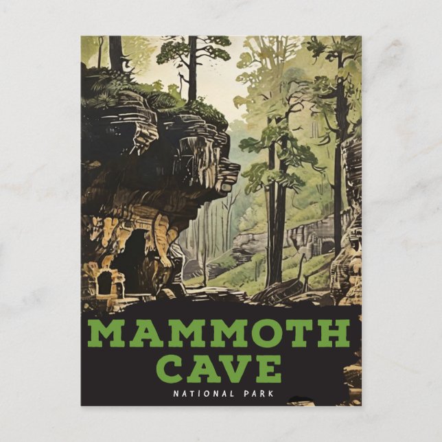 Mammoth Cave National Park  Postcard (Front)