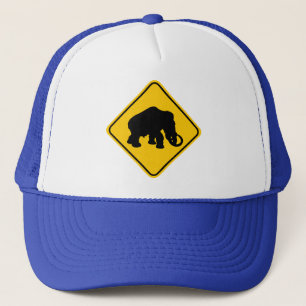 Mammoth Crossing Trucker Hat