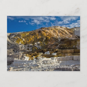 Mammoth Hot Spring Postcard