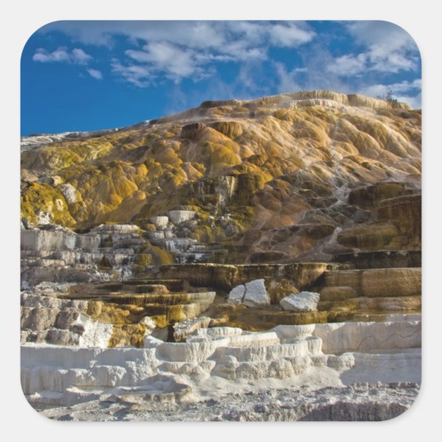 Mammoth Hot Spring Square Sticker (Front)