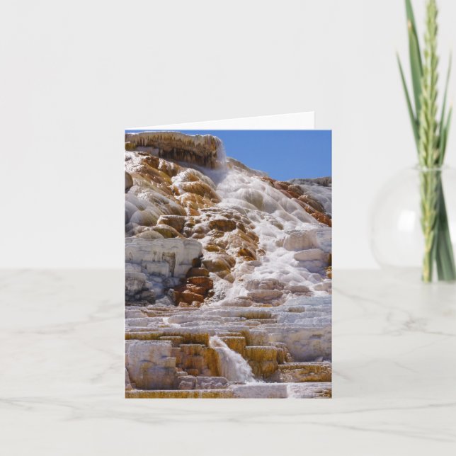 Mammoth Hot Springs Card (Front)