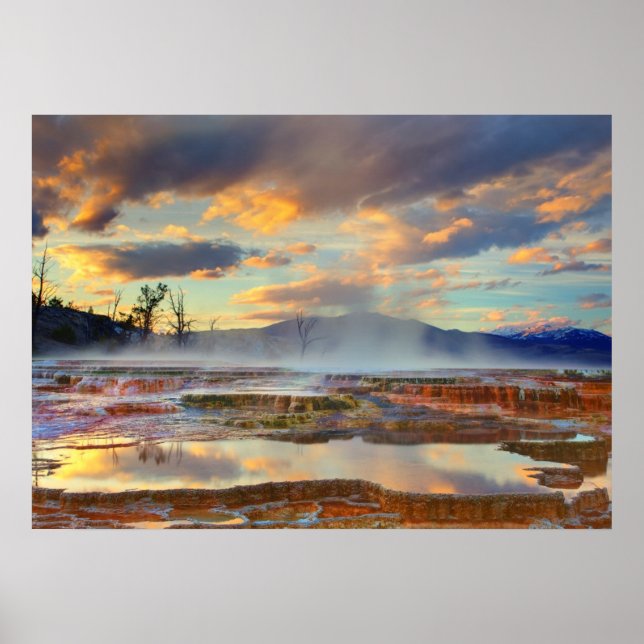 Mammoth Hot Springs Poster (Front)