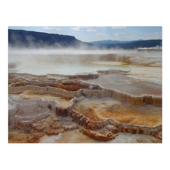 Mammoth Hot Springs Yellowstone Postcard