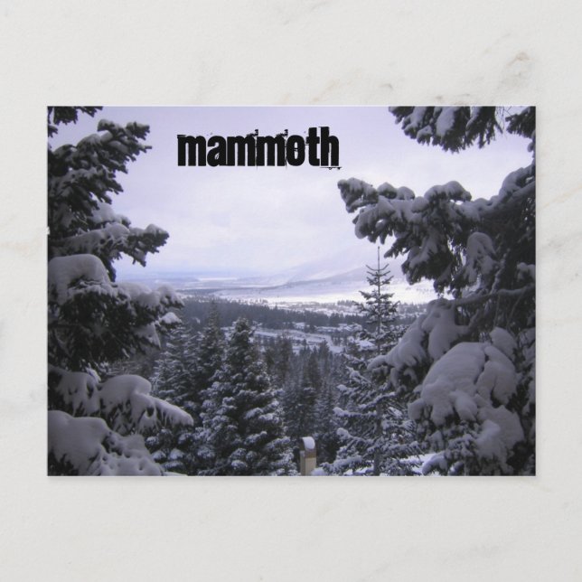Mammoth Mountain Postcard (Front)