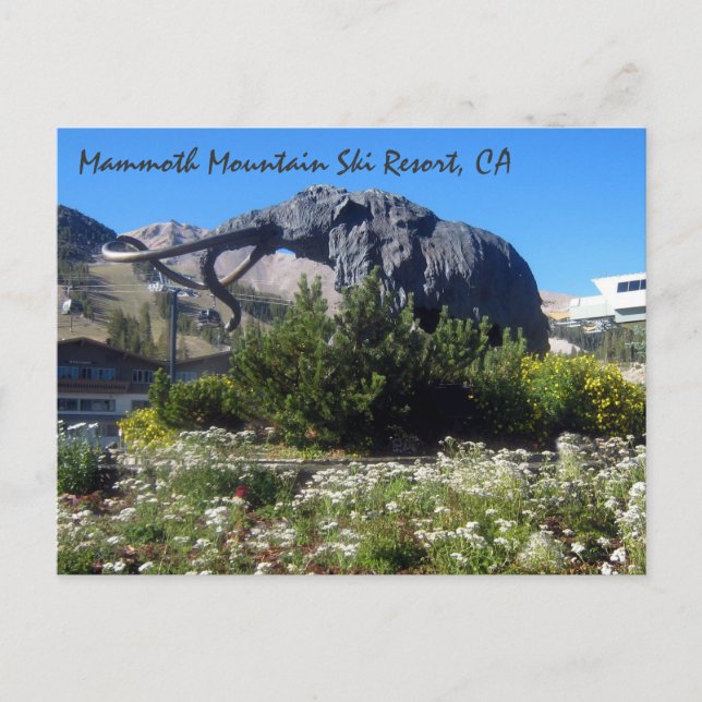 Mammoth Mountain Ski Resort, CA Postcard (Front)