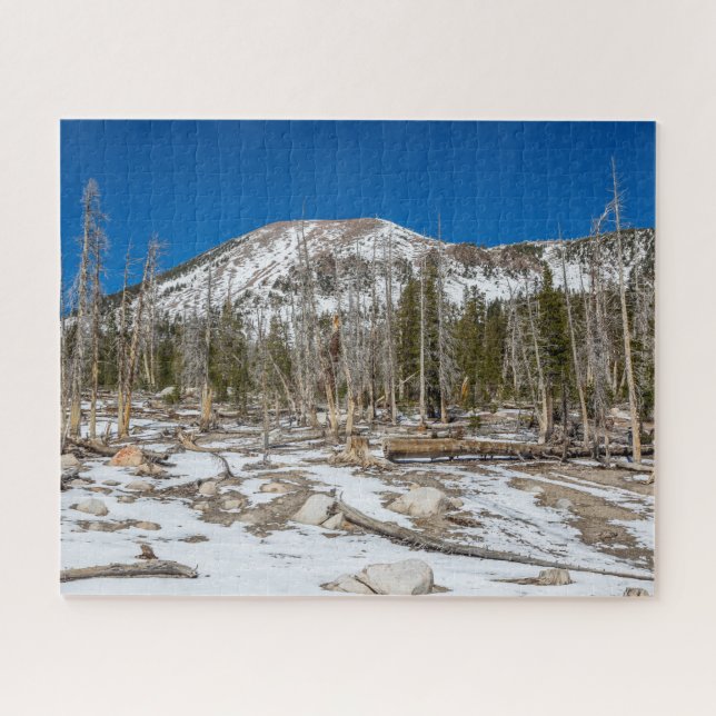 Mammoth Mountain View from Horseshoe Lake Jigsaw Puzzle (Horizontal)