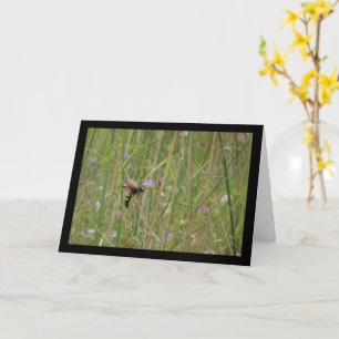 Mammoth Wasp in Flight Card