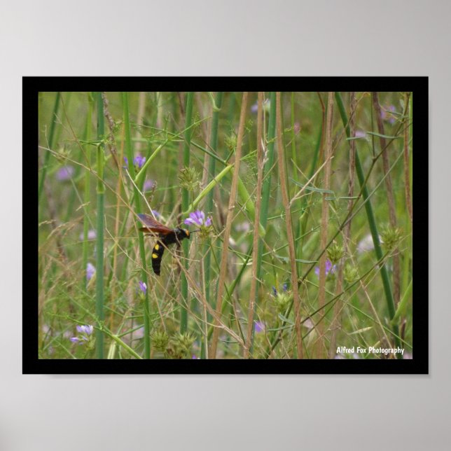 Mammoth Wasp in Flight Poster (Front)