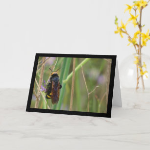 Mammoth Wasp on Stalk Card