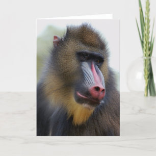 Man Alone Card
