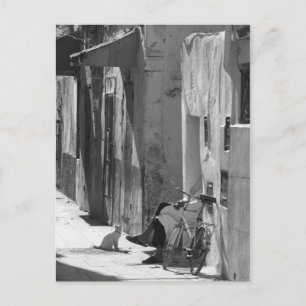 Man and Cat Postcard