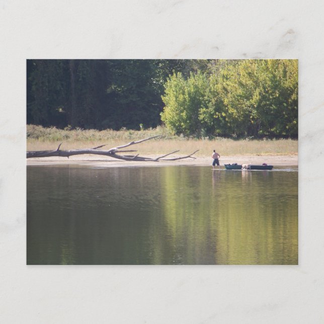 Man, Canoe, Dog, and Driftwood Postcard (Front)