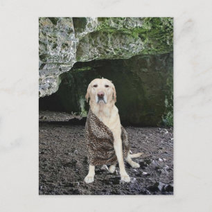 Man Cave Invitation Postcard