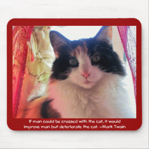 Man crossed with calico? mouse pad