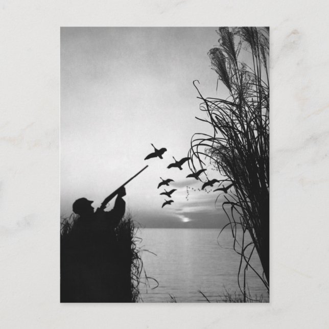 Man Duck Hunting Postcard (Front)