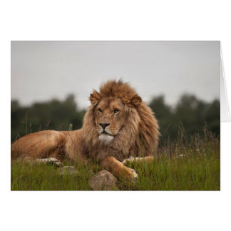 Man its been a long day