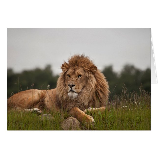 Man its been a long day (Front Horizontal)