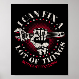 Man Mechanic I Can Fix A Lot Of Things But Can't F Poster