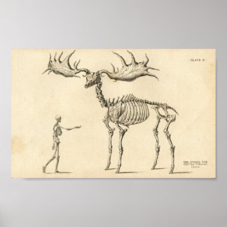 Man & Moose Vintage Poster