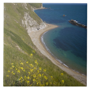 Man o War Bay, Jurassic Coast, Lulworth, Dorset, Tile