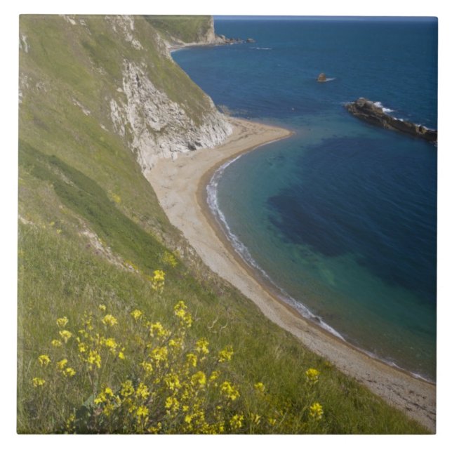 Man o War Bay, Jurassic Coast, Lulworth, Dorset, Tile (Front)