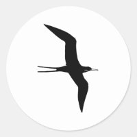 Man O' War (magnificent frigatebird)