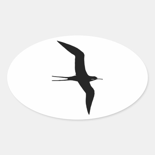 Man O' War (magnificent frigatebird) Oval Sticker (Front)