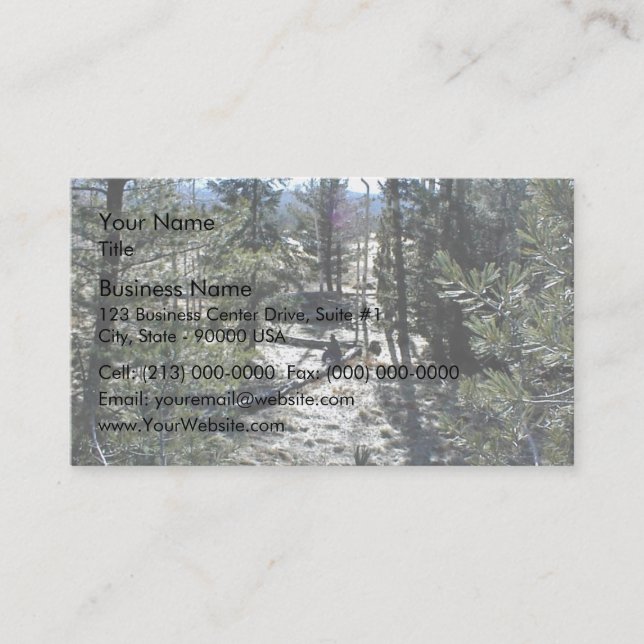 Man sitting on a log in a forest business card (Front)