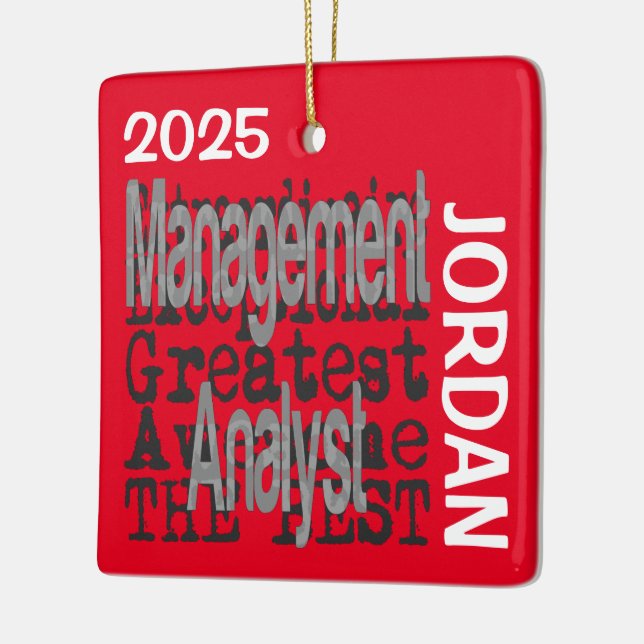 Management Analyst Extraordinaire CUSTOM Ceramic Ornament (Left)