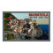 Manarola Town
