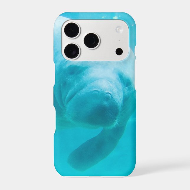 Manatee (Back)