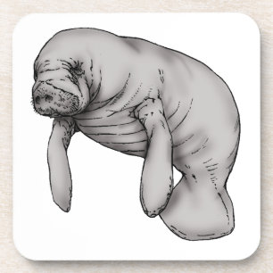 manatee art coaster