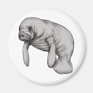 manatee art magnet