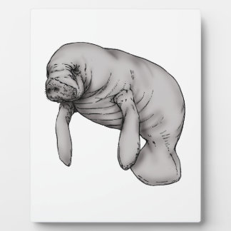 manatee art plaque