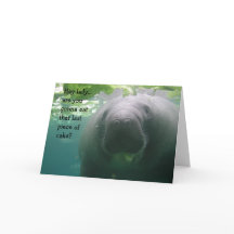 Manatee Birthday Last piece of cake Lady - 5x7