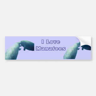 Manatee Bumper Sticker