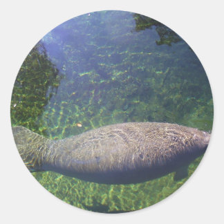 Manatee Classic Round Sticker