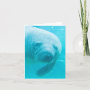 Manatee Digital Art "oh hi"  Card