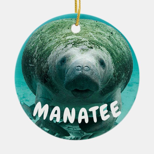 Manatee face photo ceramic ornament (Front)